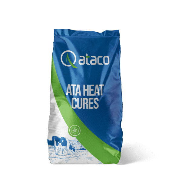 ATA HEAT CURES